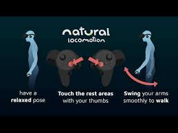 Natural Locomotion: How to move around - YouTube